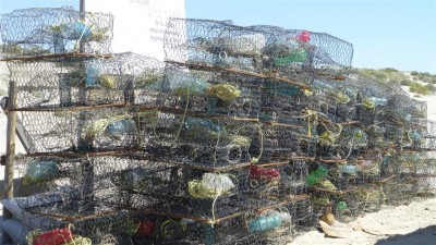 P1000845 Crab pots (Large)