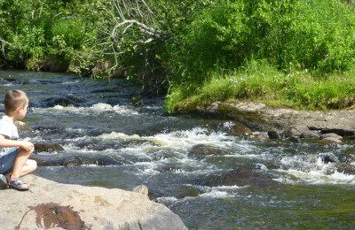 P1010776 Soldotna Creek