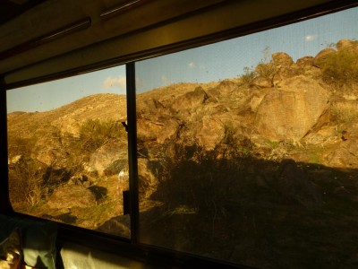 P1040967 morning in Anza Borrego DSP (Medium)