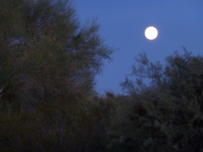 P1100932 Super Moon